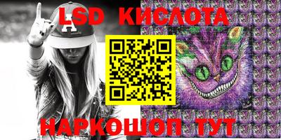 apvp Кингисепп