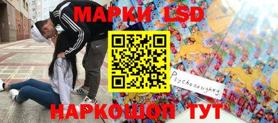 винт Кимры