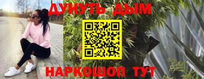 apvp Кингисепп