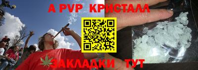 apvp Кингисепп
