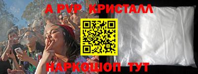apvp Кингисепп