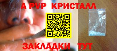 apvp Кингисепп