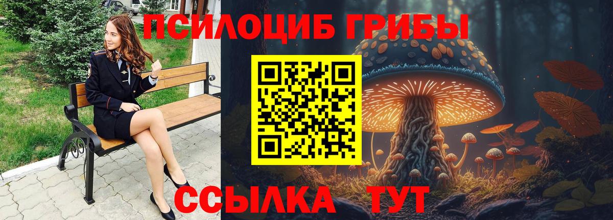 Галлюциногенные грибы MAGIC MUSHROOMS Усть-Илимск